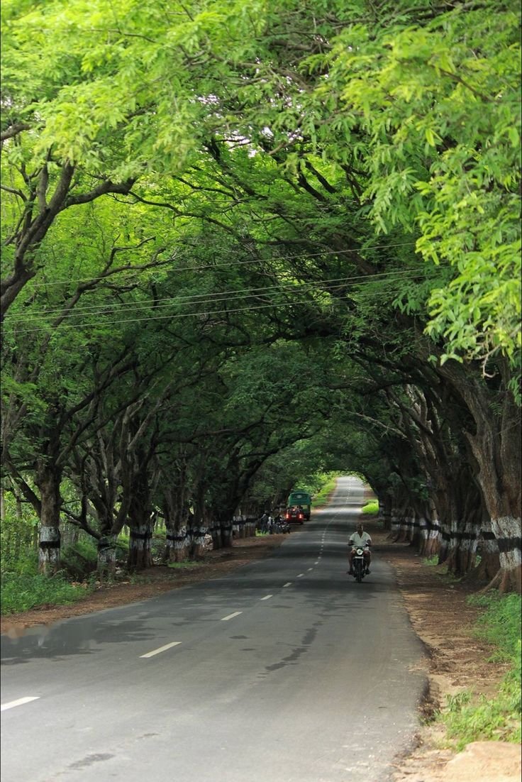 Valparai